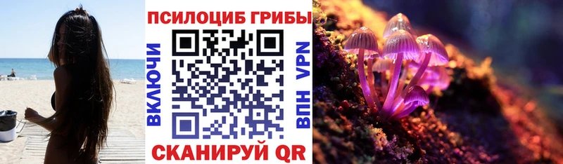 Галлюциногенные грибы MAGIC MUSHROOMS  shop наркотические препараты  Вуктыл  kraken как войти 